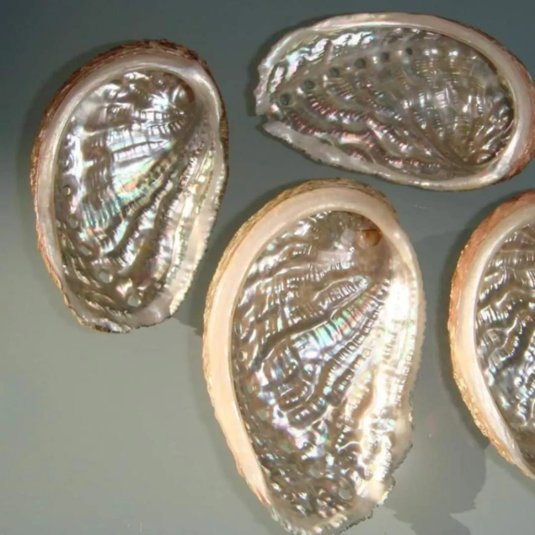 Laa Melossa Saranda